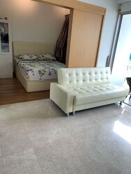 Eight Riversuites (D12), Condominium #564211351